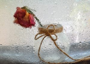 তুমি নয়