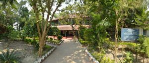 শরৎচন্দ্র চট্টোপাধ্যায়ের জীবনী