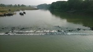 ইছামতি নদী